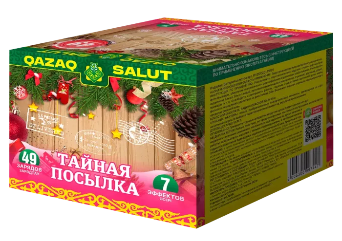 Тайная посылка/Жасырын С?лемдеме Кз